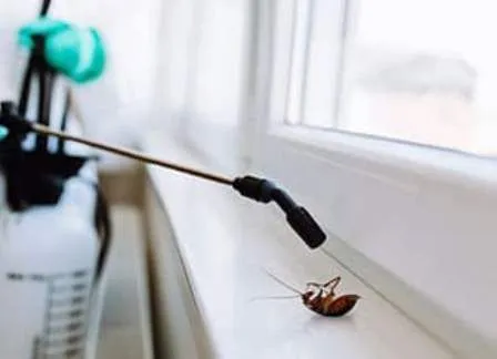 Hometown Pest & Termites in Galveston, TX — business photo 3