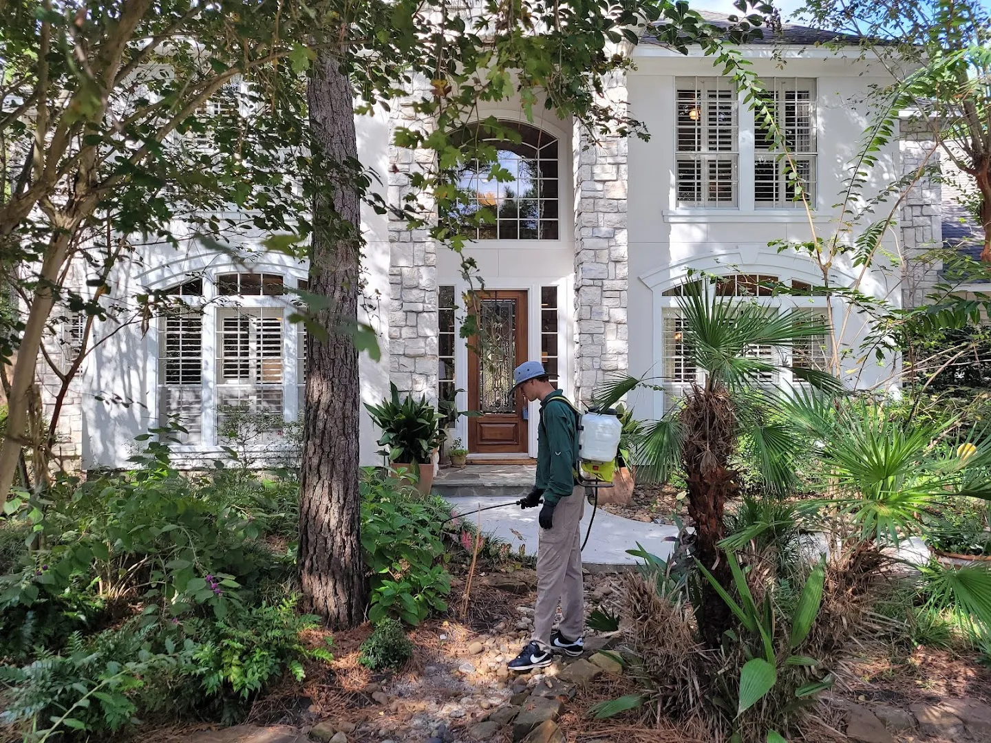 Texas Terminators Termite Pest Pool & Lawn L.L.C. — pest control in Houston, HARRIS County, TX