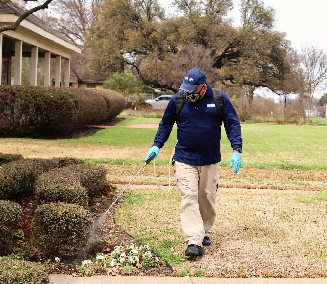 Ideal Pest Control in Fort Worth, TX — business photo 3
