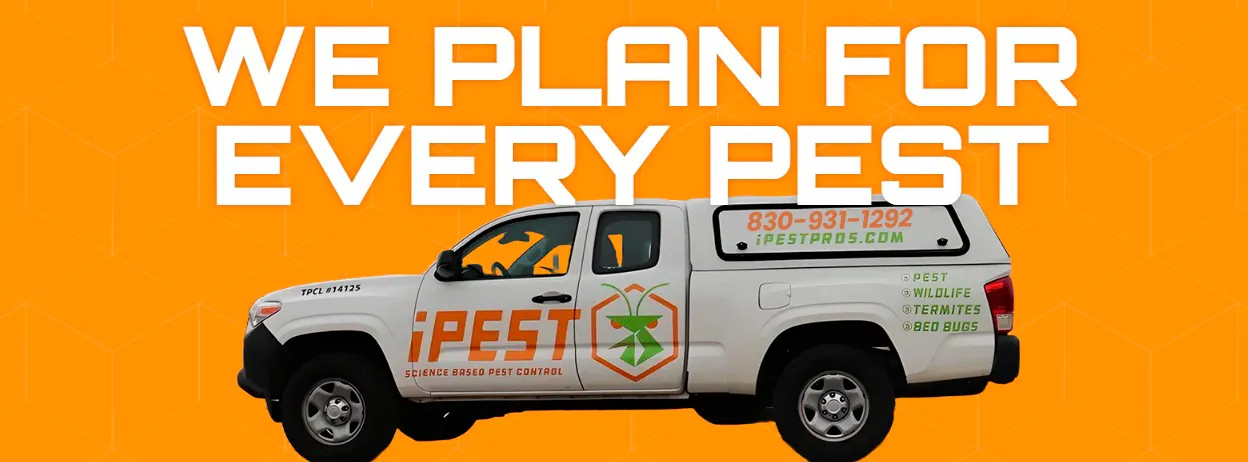 iPest Solutions San Antonio in San Antonio, TX — business photo 2