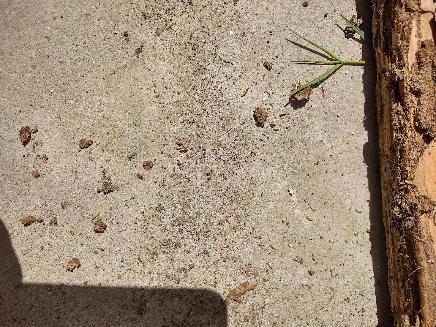 J&M Pest Control Co. in El Paso, TX — business photo 2