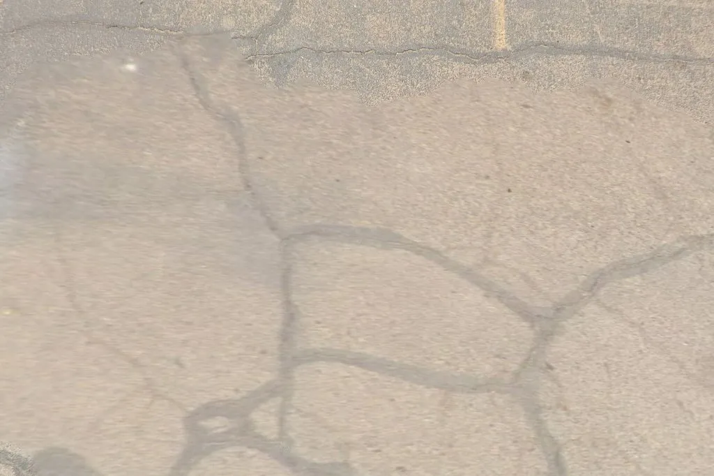 J&M Pest Control Co. in El Paso, TX — business photo 5