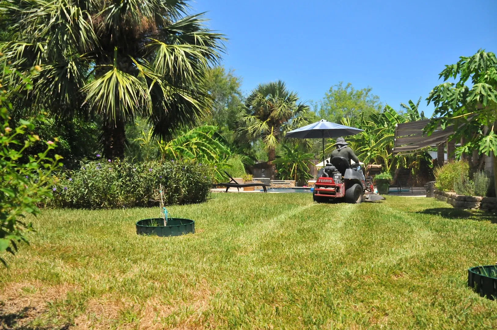 J and R Landscaping in Brownsville, TX — business photo 5