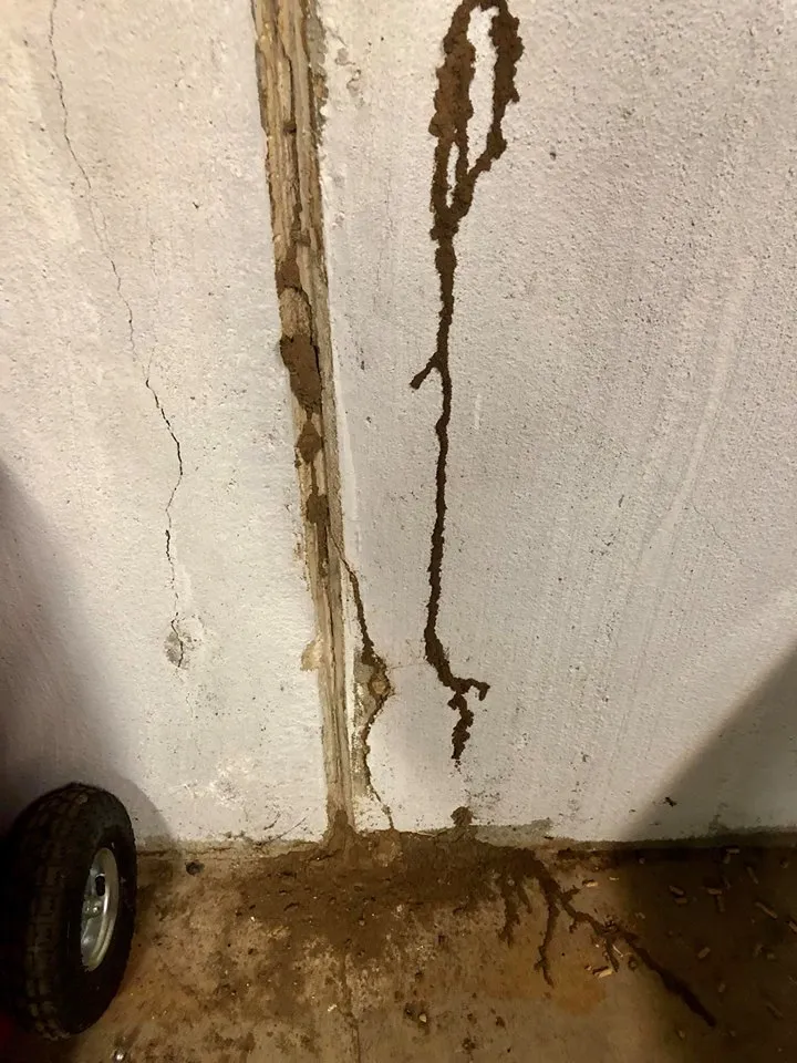 JetCo Pest & Bed Bug Services in Fort Worth, TX — business photo 3
