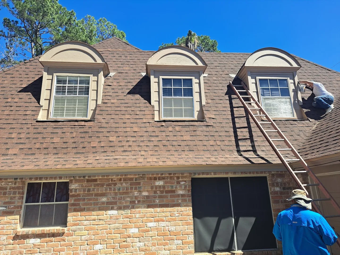 Jenkins Pest Control in Houston, TX — business photo 5