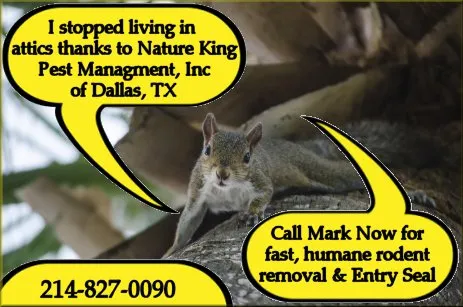 Nature King Pest Management in Dallas, TX — business photo 3