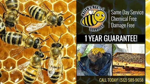 Keith's Bee Service in Pittsburg, TX — business photo 2