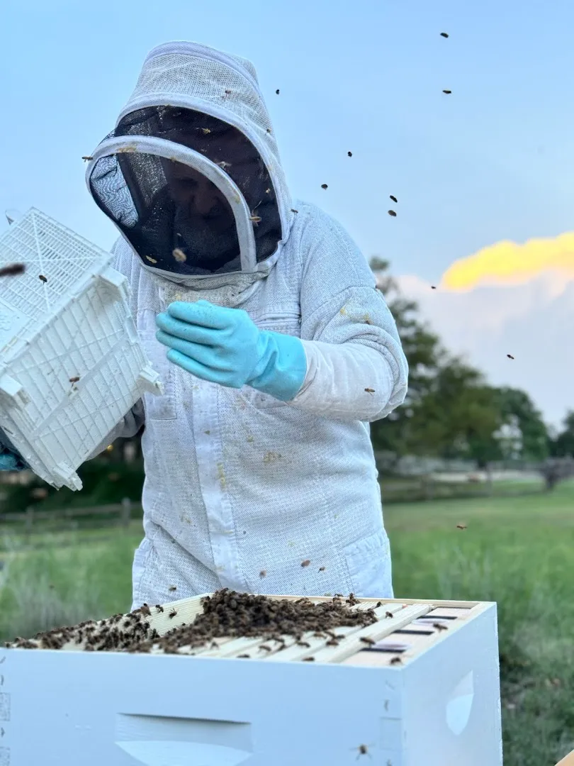 Keith's Bee Service in Pittsburg, TX — business photo 5