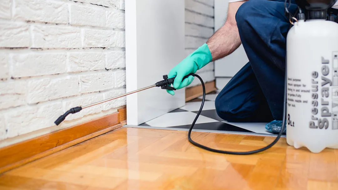 Kemper Pest Control in Abilene, TX — business photo 2