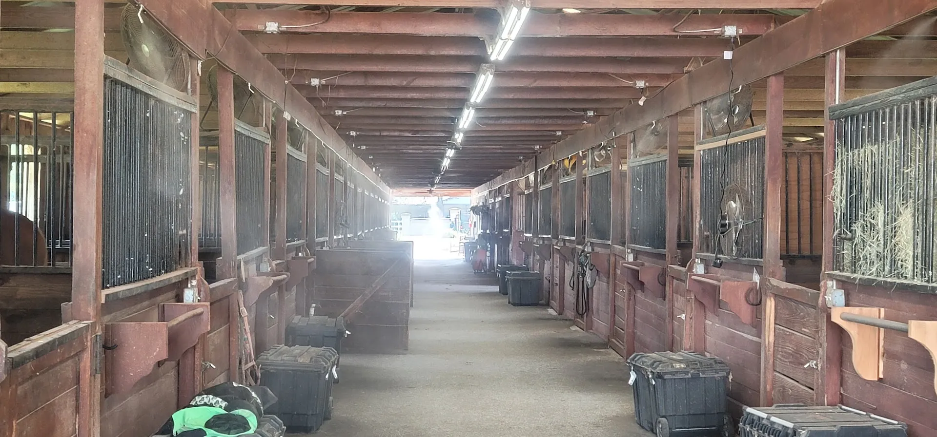Kemper Pest Control in Abilene, TX — business photo 3