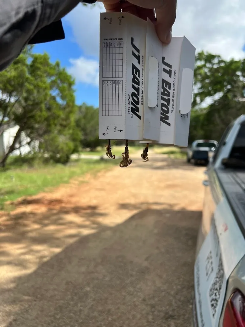 Burnett’s Pest — pest control in Meridian, BOSQUE County, TX