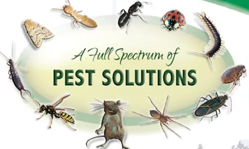 McClain Pest Control, LLC in Crockett, TX — business photo 6