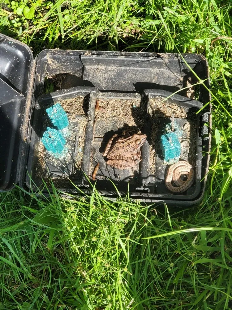 Bugged Out Exterminating - Pest Control in Longview, TX — business photo 4