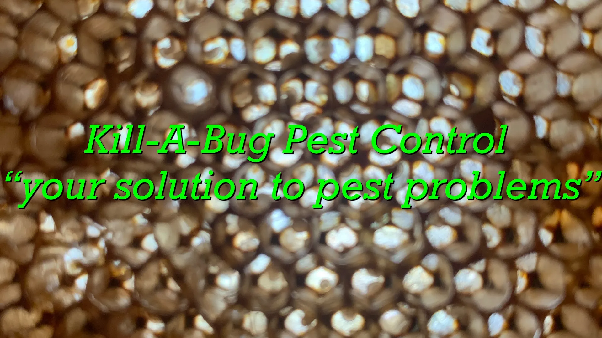 Kill-A-Bug Pest Control — pest control in Edinburg, HIDALGO County, TX