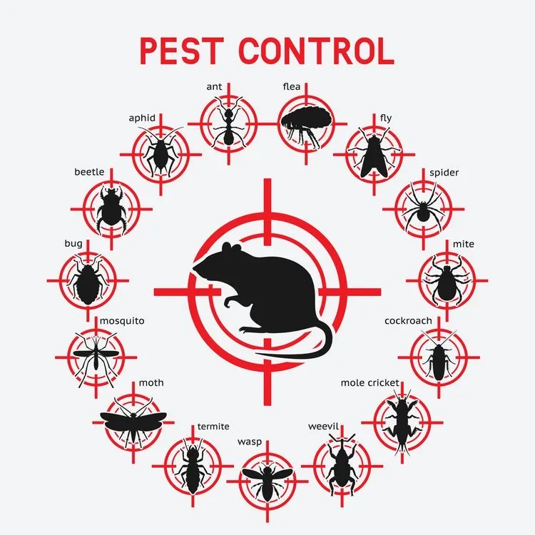 Kill-A-Bug Pest Control in Edinburg, TX — business photo 6