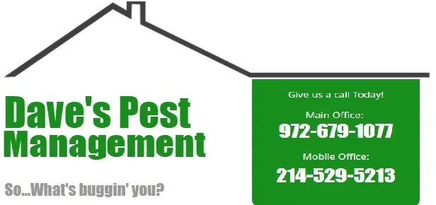 Dave's Pest Management LLC in Denton, TX — business photo 4
