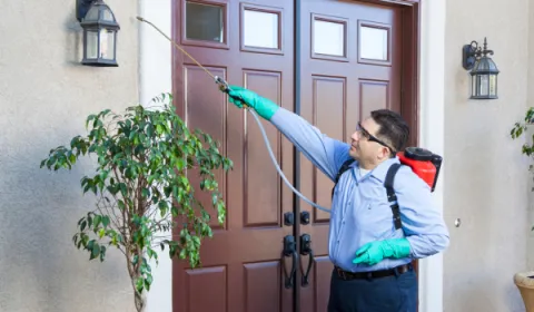 Lakeside Pest Control in Dallas, TX — business photo 4