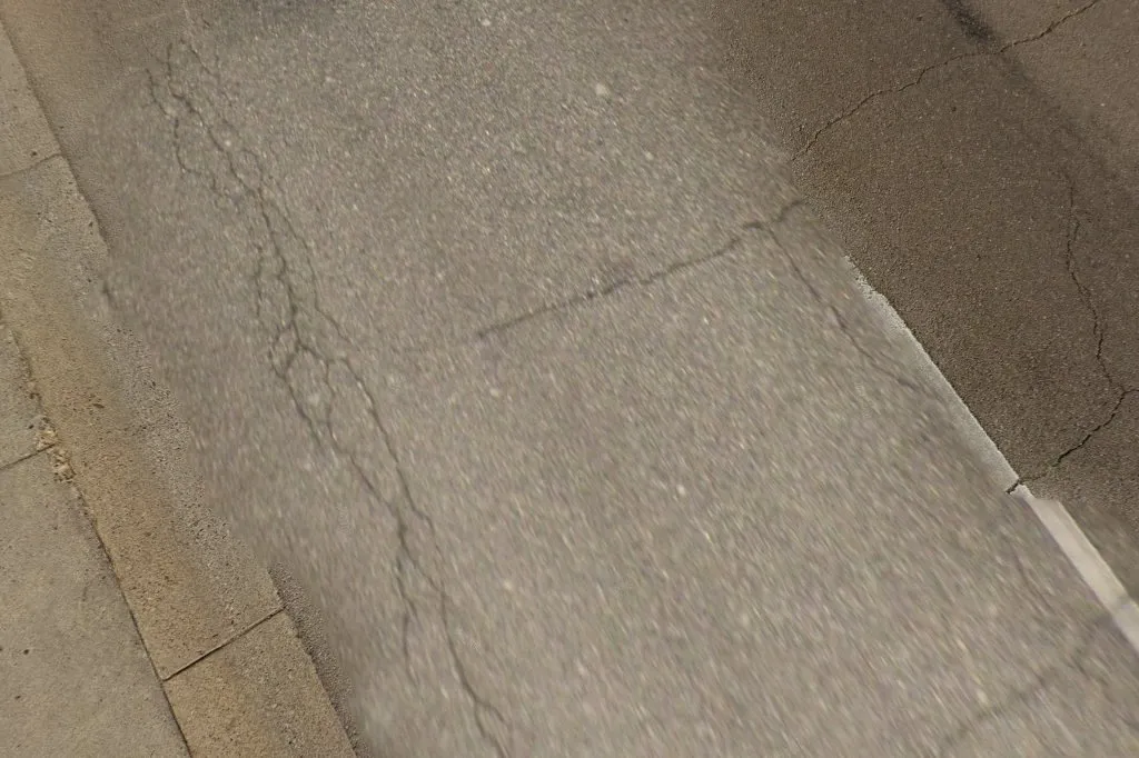 Laredo Pest Control in Laredo, TX — business photo 2