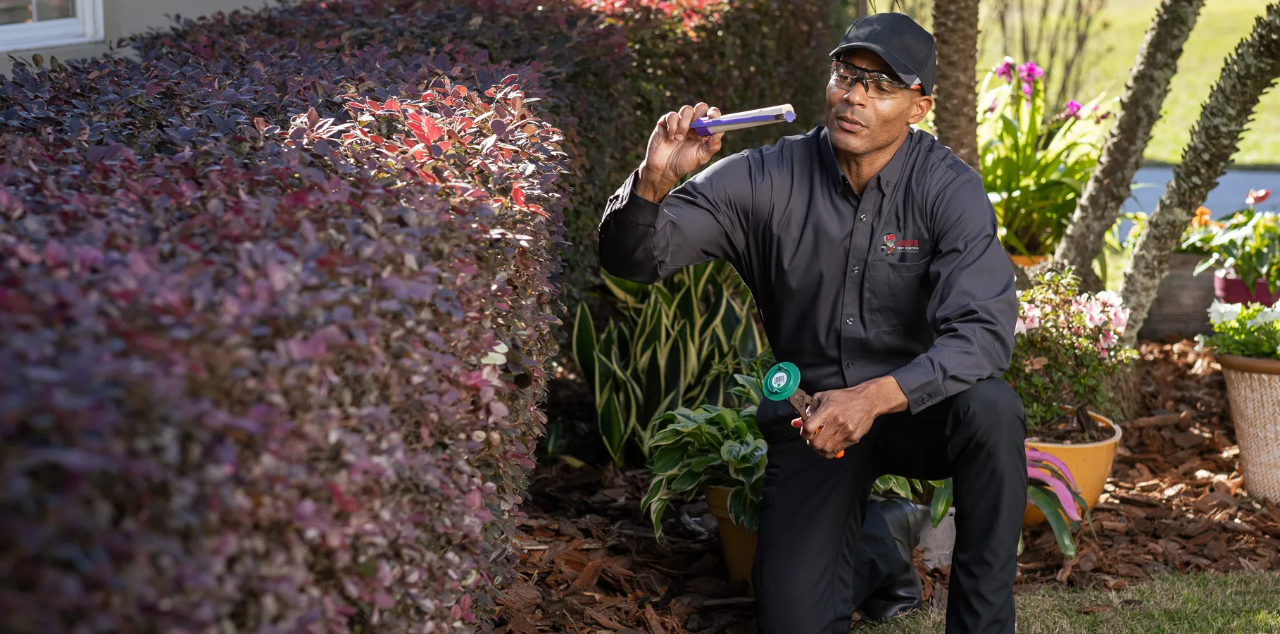 Leo's Pest Control — pest control in Edinburg, HIDALGO County, TX