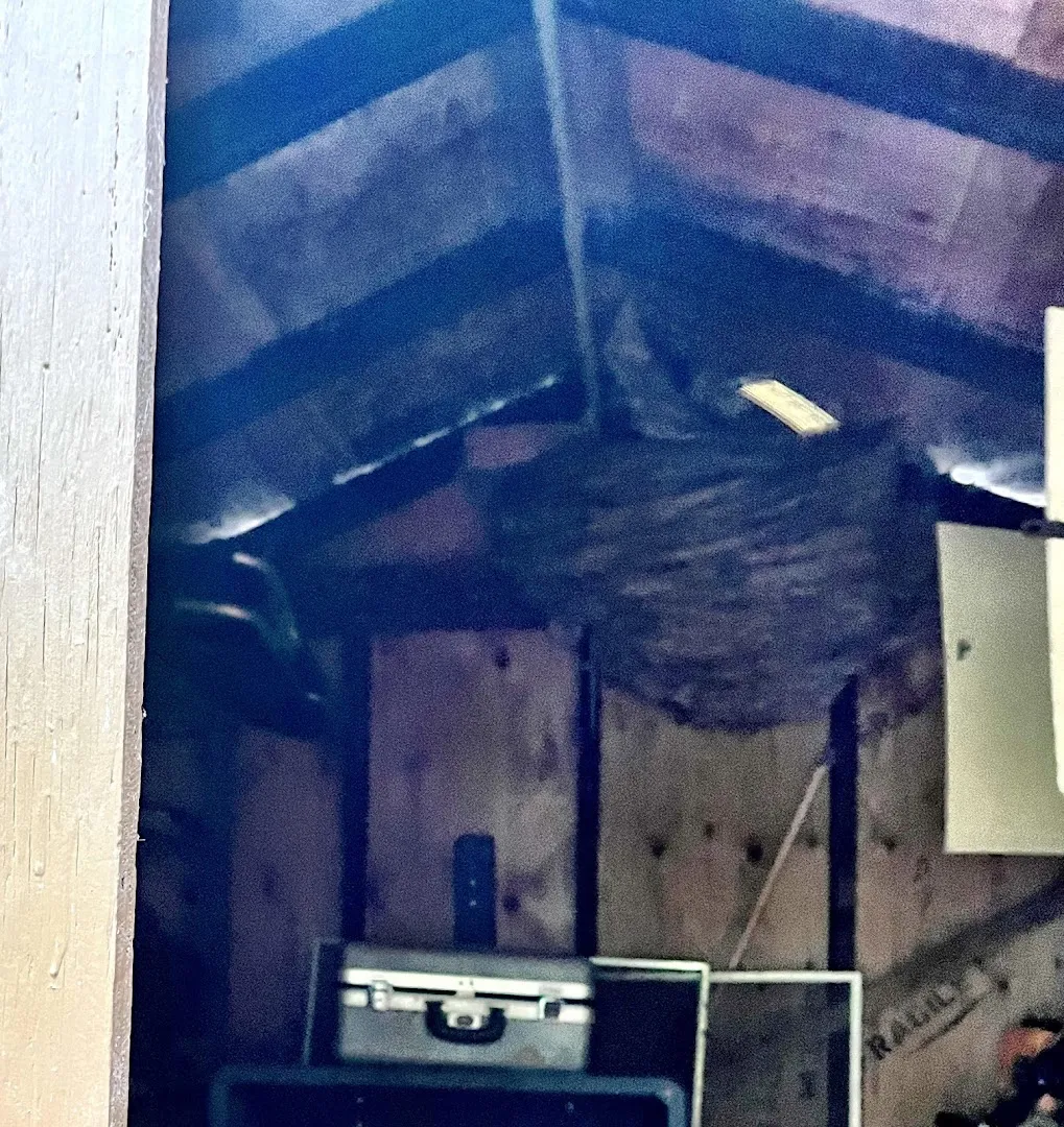 Chief Exterminating Co in Bonham, TX — business photo 3