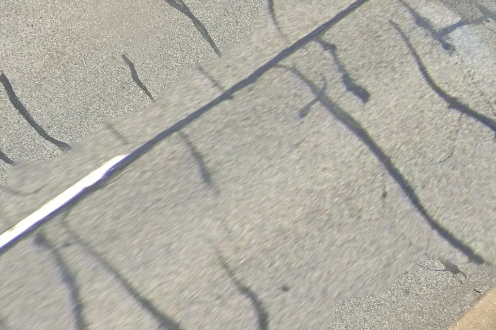 Chief Exterminating Co in Bonham, TX — business photo 4