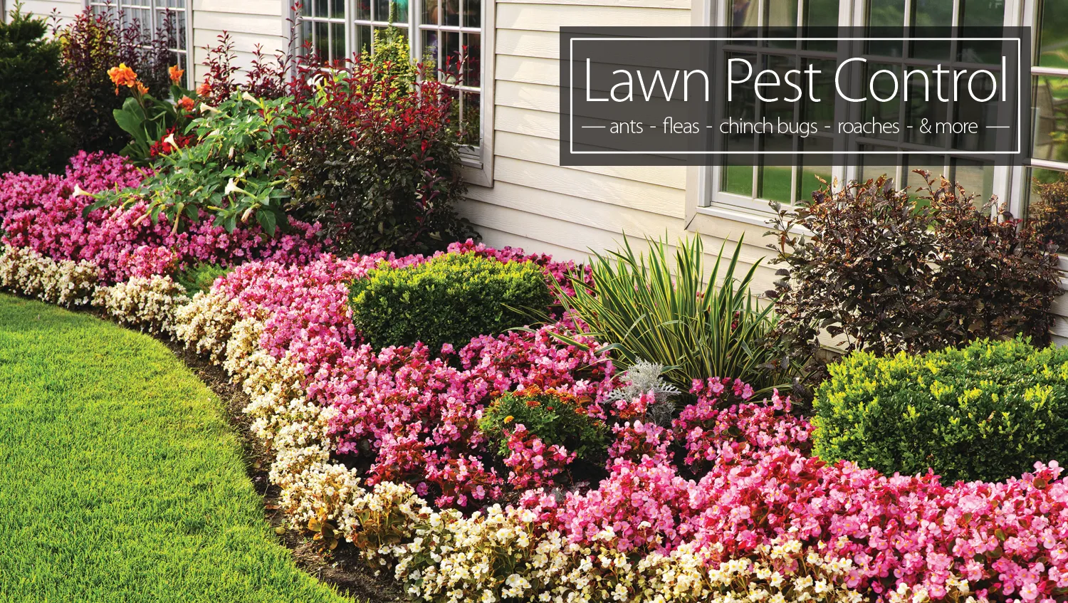 Live Oak Pest Control — pest control in Seguin, GUADALUPE County, TX