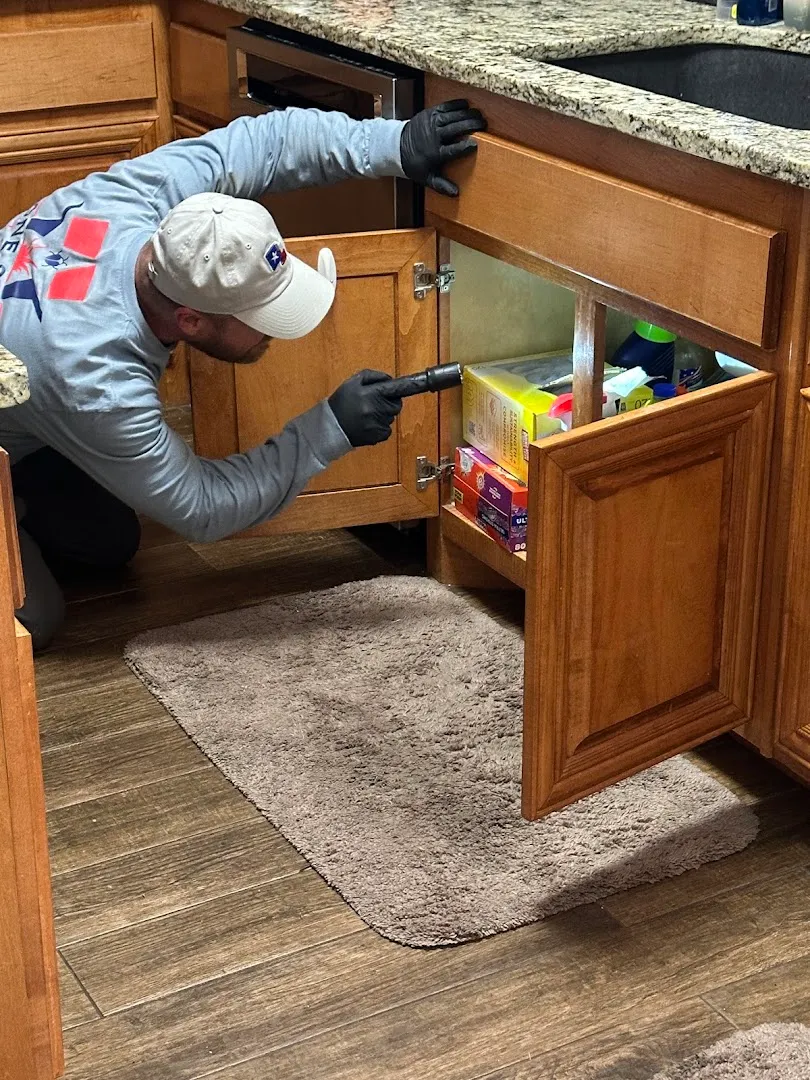 Lone Star Pest and Lawn LLC in Belton, TX — business photo 3