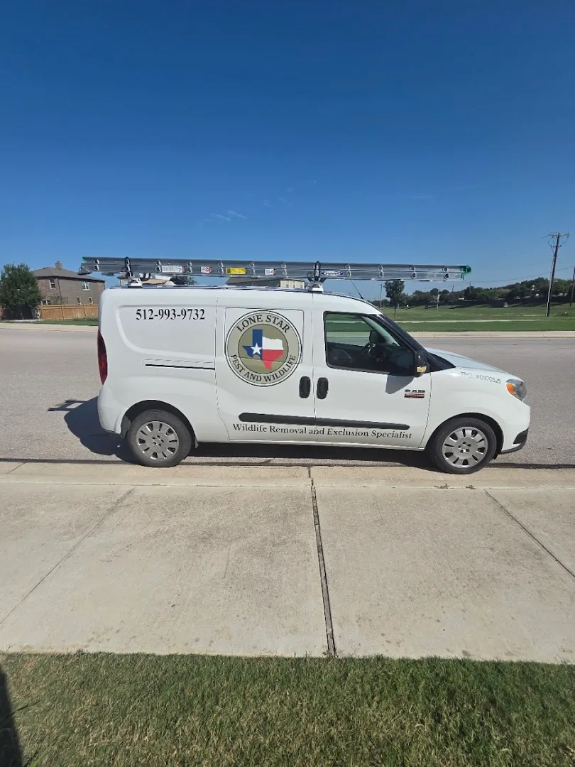 Lone Star Pest and Wildlife, LLC in Bryan, TX — business photo 3