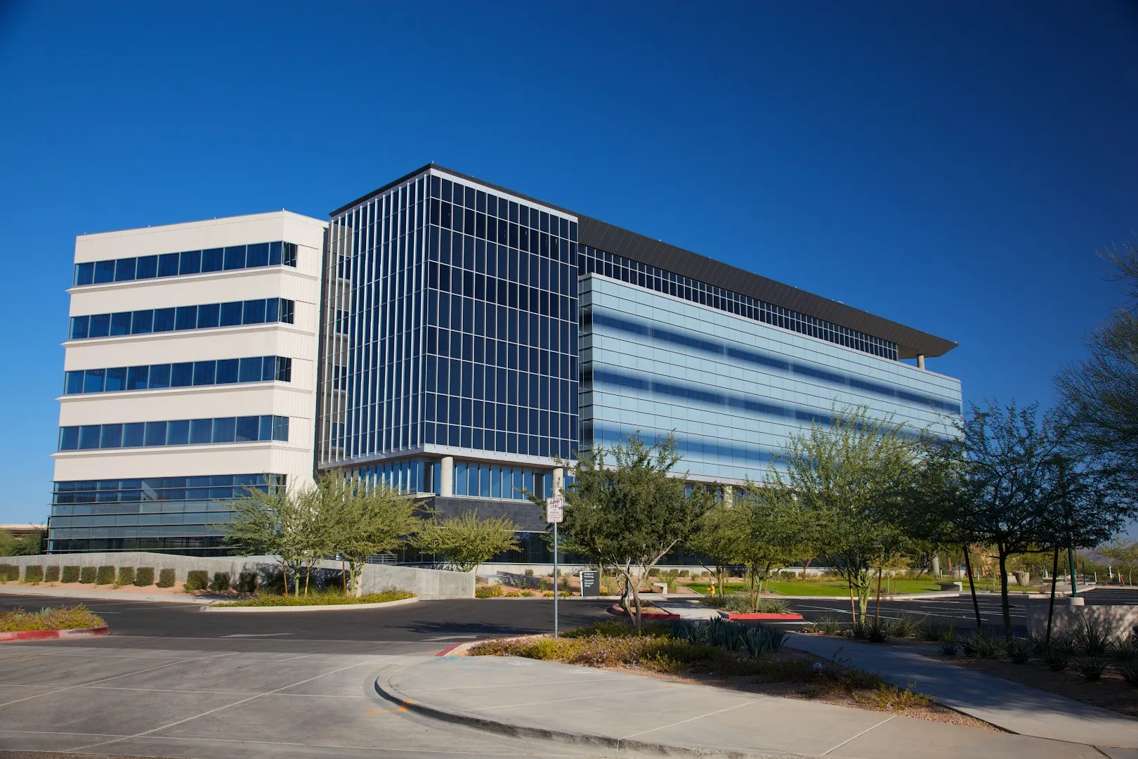 LONESTAR Pest Solutions — pest control in San Antonio, BEXAR County, TX