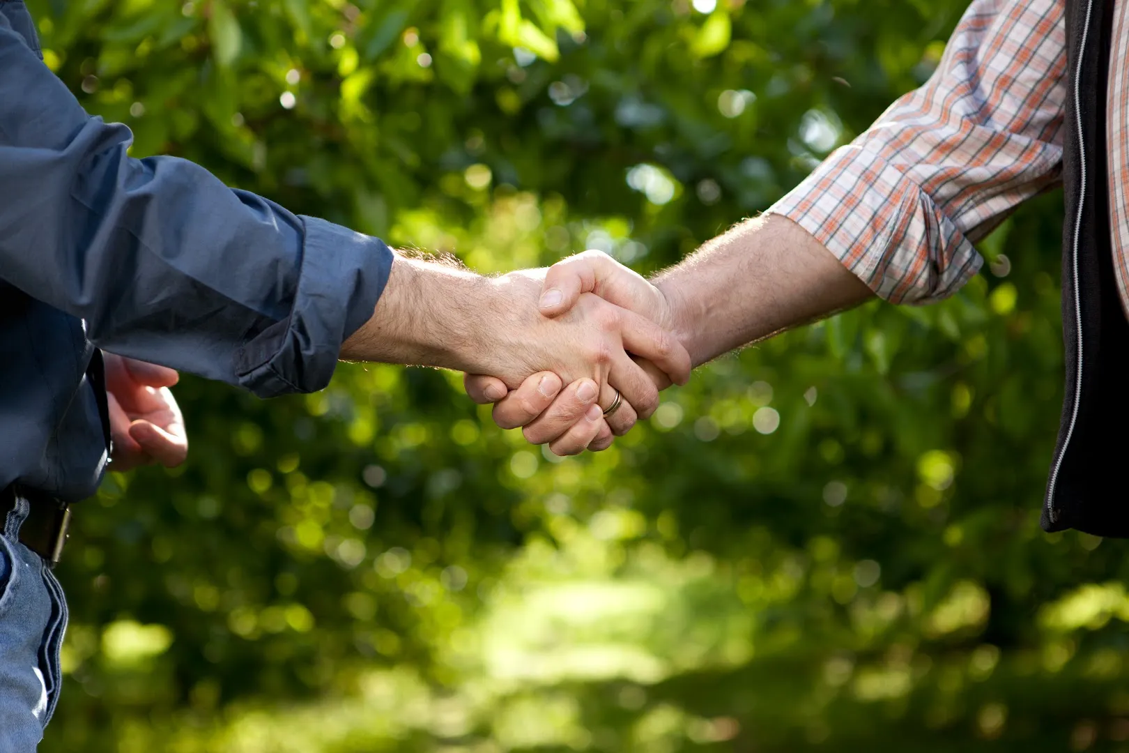 LONESTAR Pest Solutions in San Antonio, TX — business photo 4