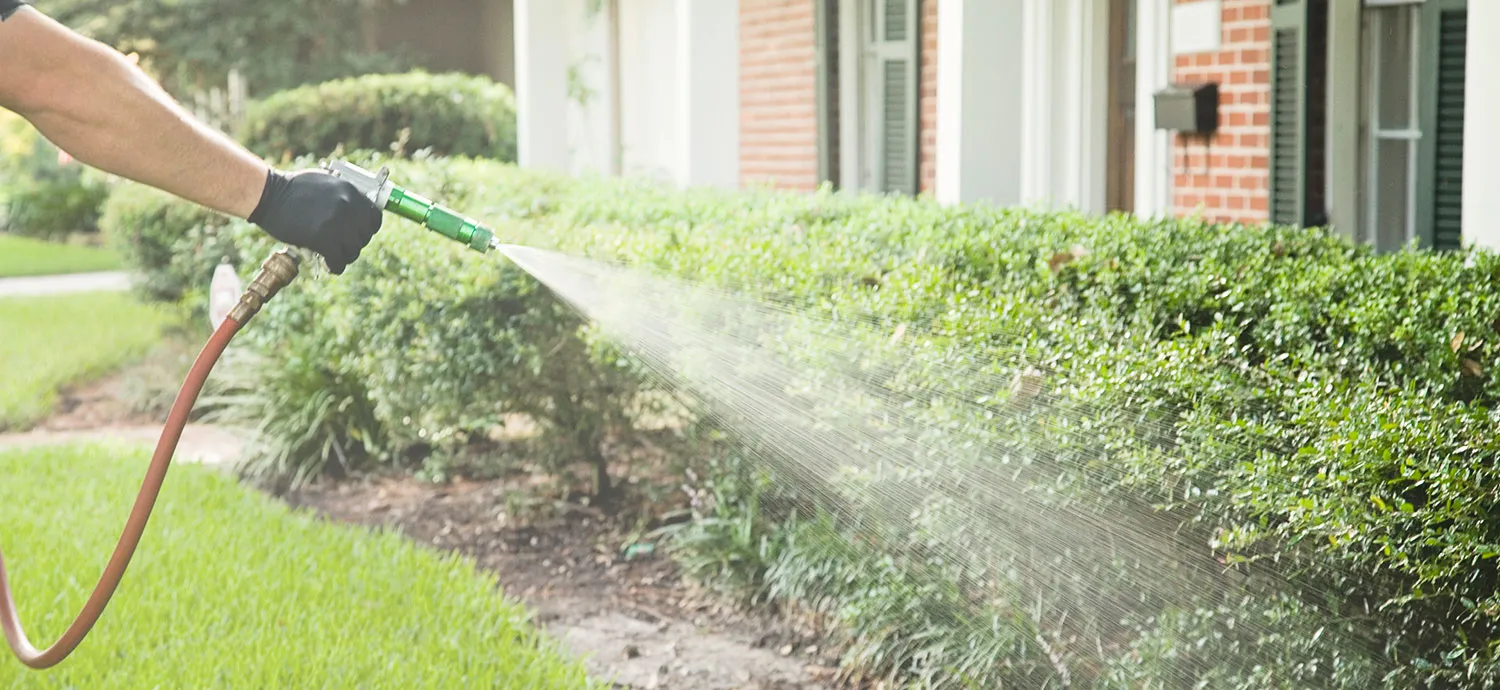 Long Point Pest Control in Houston, TX — business photo 3