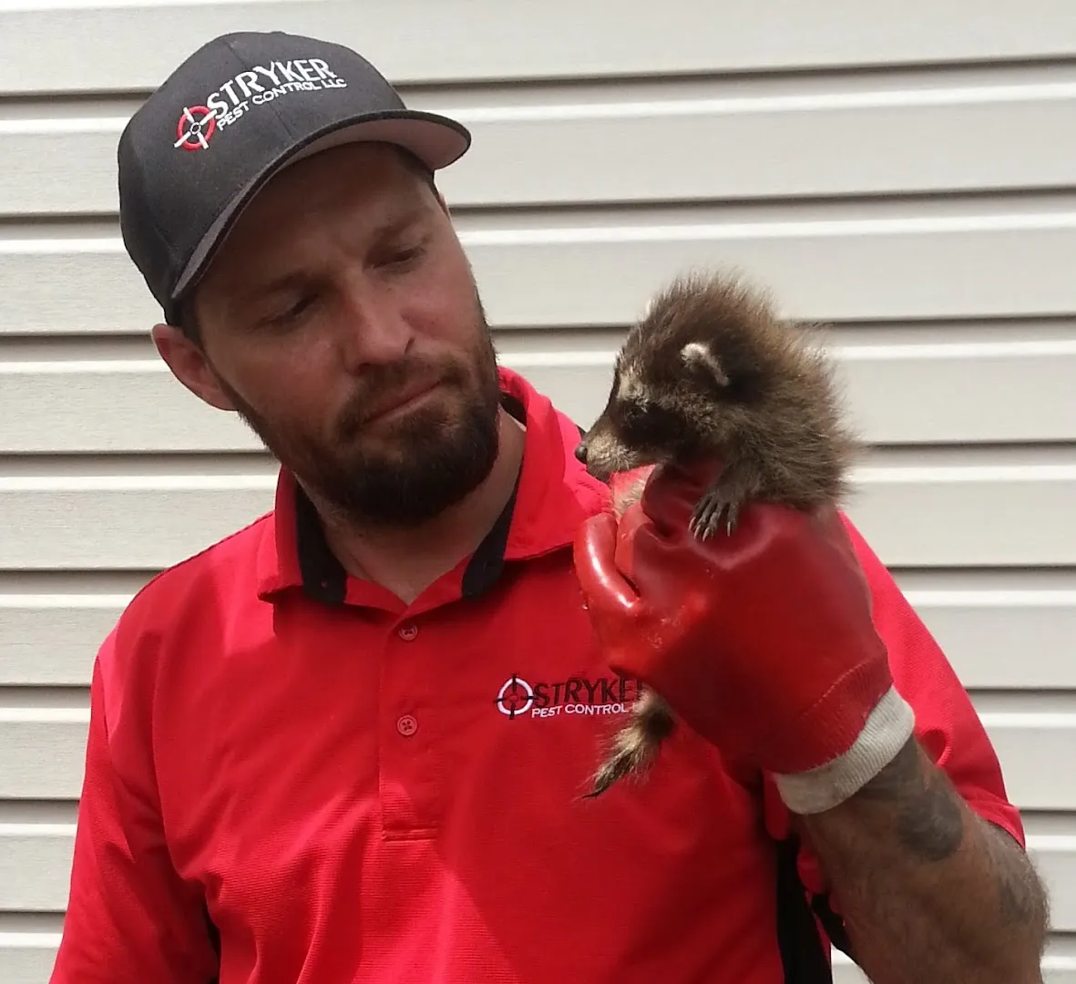 Stryker Pest Control LLC — pest control in Columbus, COLORADO County, TX