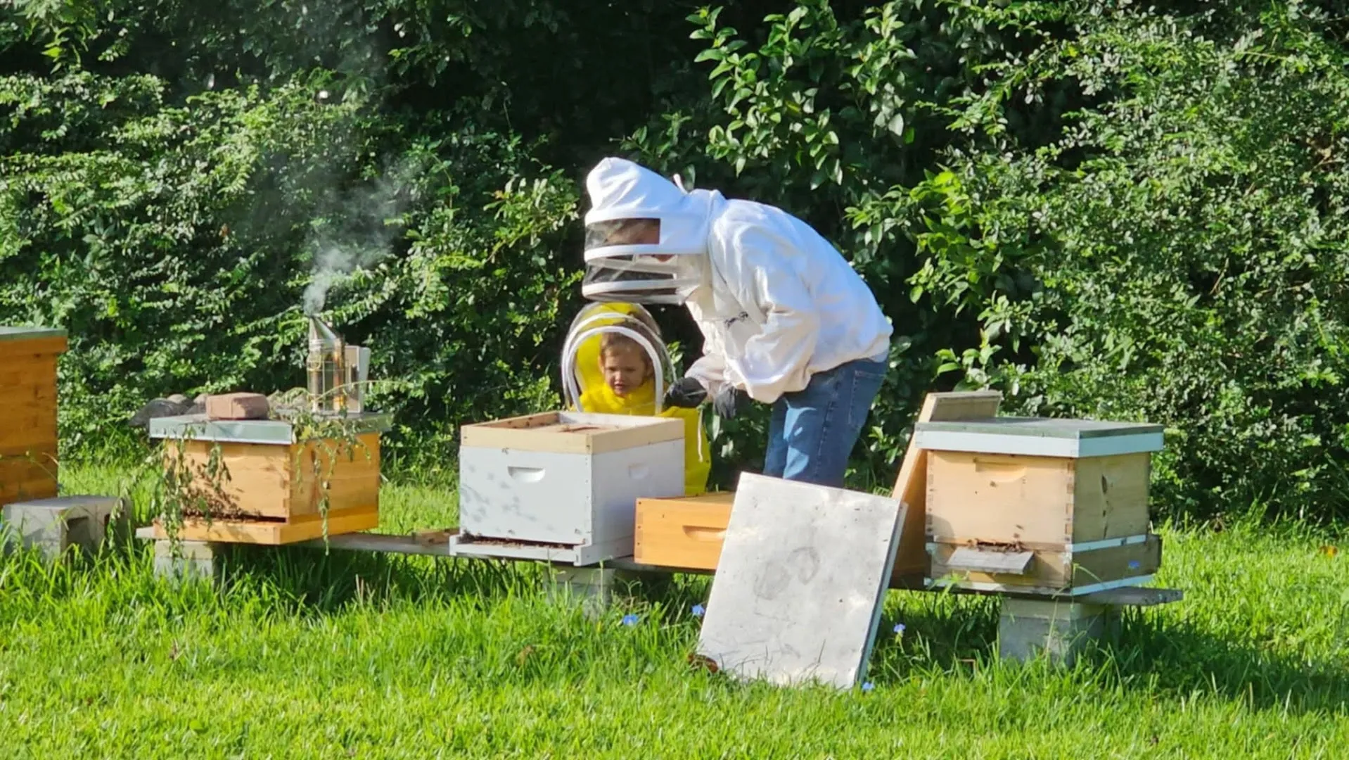 Mike's Pest Control, Inc. in Galveston, TX — business photo 4