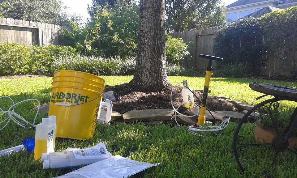 Mike's Pest Control, Inc. in Galveston, TX — business photo 5