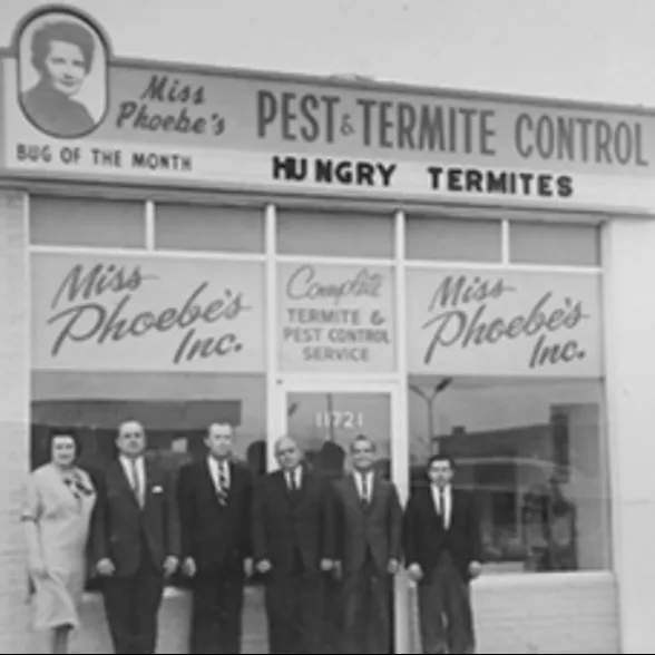 Miss Phoebe's Pest & Termite Control — pest control in Dallas, DALLAS County, TX