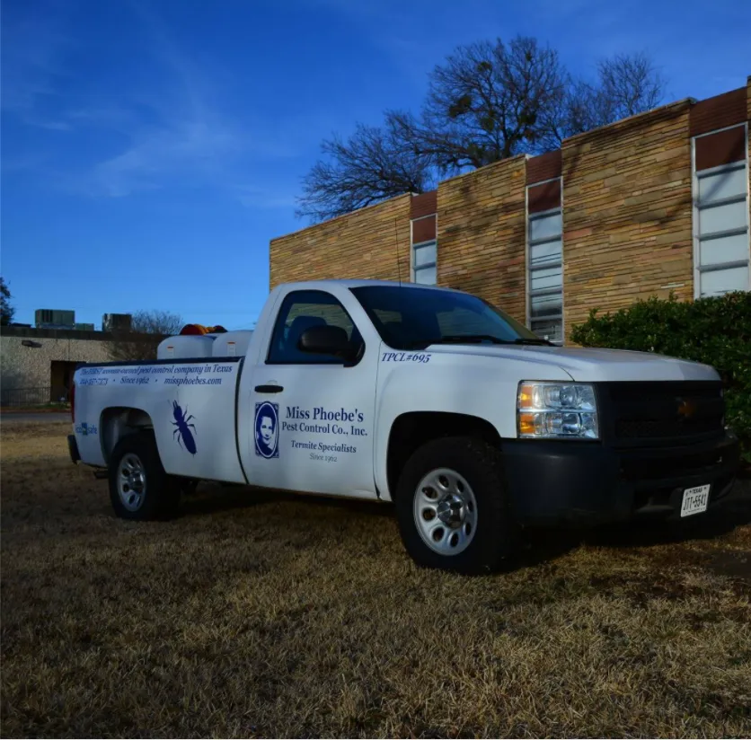 Miss Phoebe's Pest & Termite Control in Dallas, TX — business photo 2