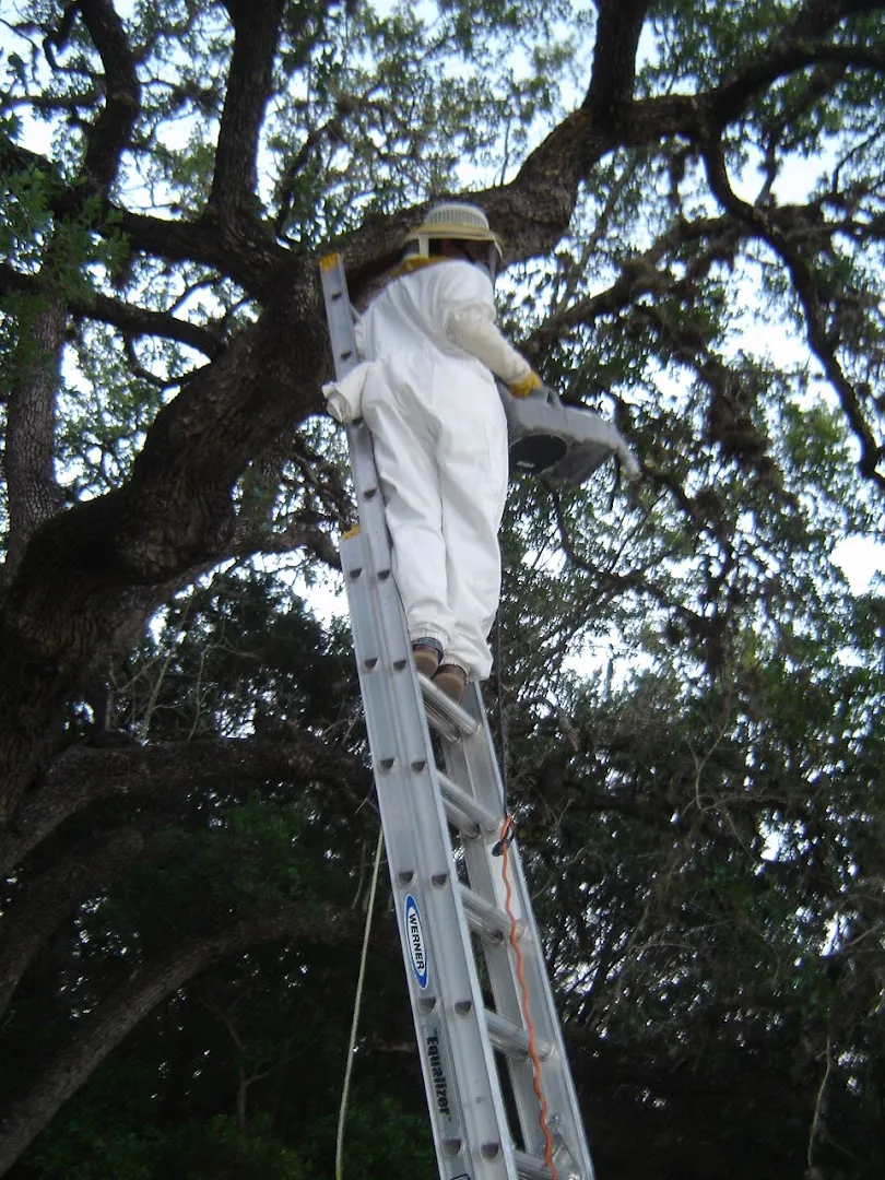 Mister-B Pest Control in San Antonio, TX — business photo 3