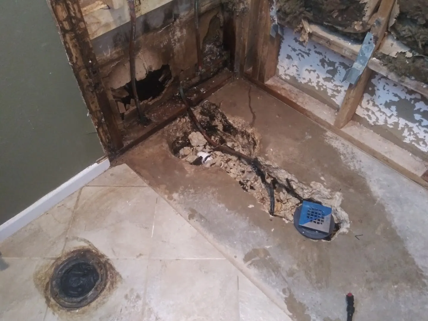 Mister-B Pest Control in San Antonio, TX — business photo 5