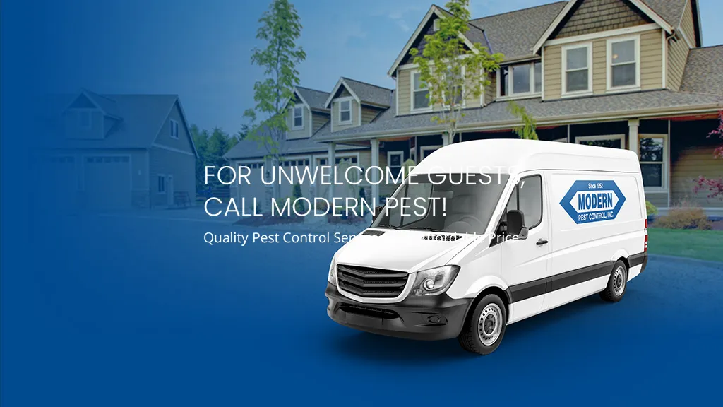 Modern Pest Control — pest control in Houston, HARRIS County, TX