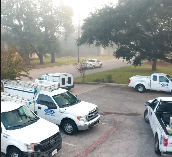 Modern Pest Control in Houston, TX — business photo 4