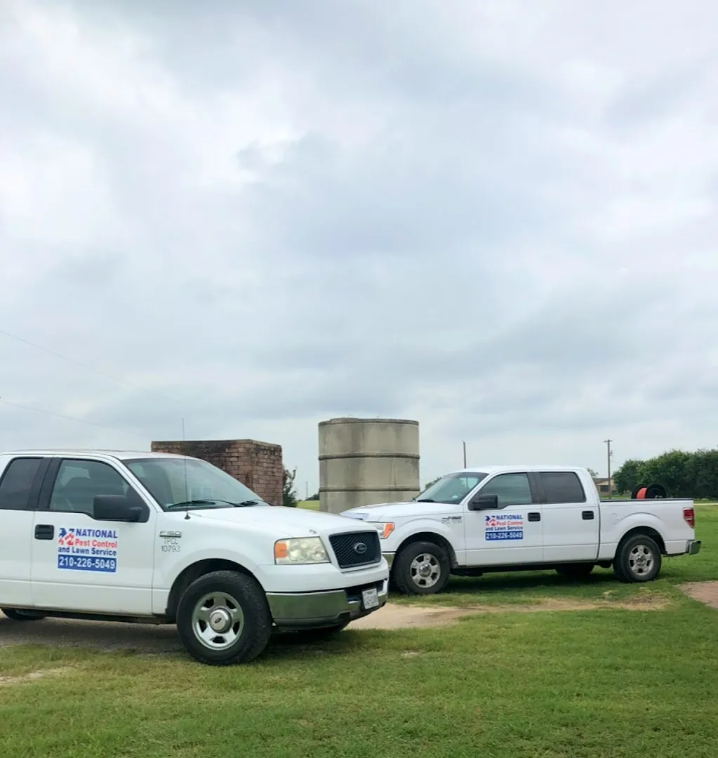 National Pest Control in San Antonio, TX — business photo 6