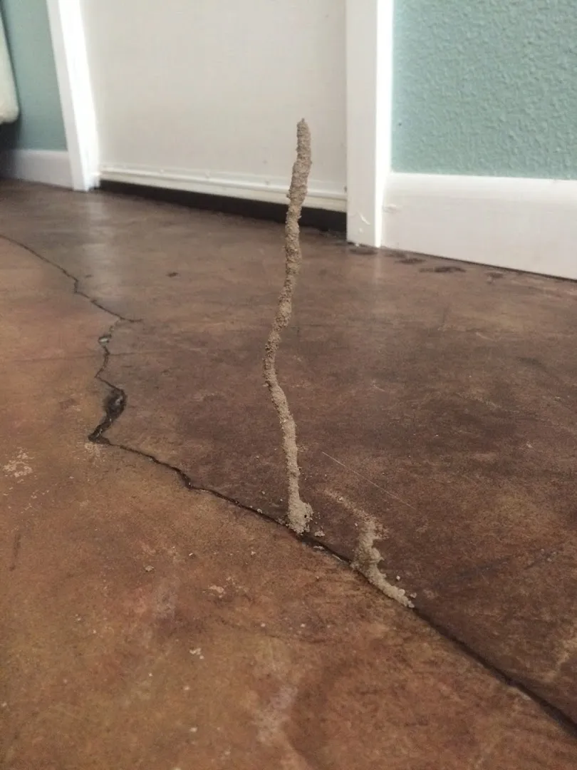 Neill's Pest Control in Johnson City, TX — business photo 3