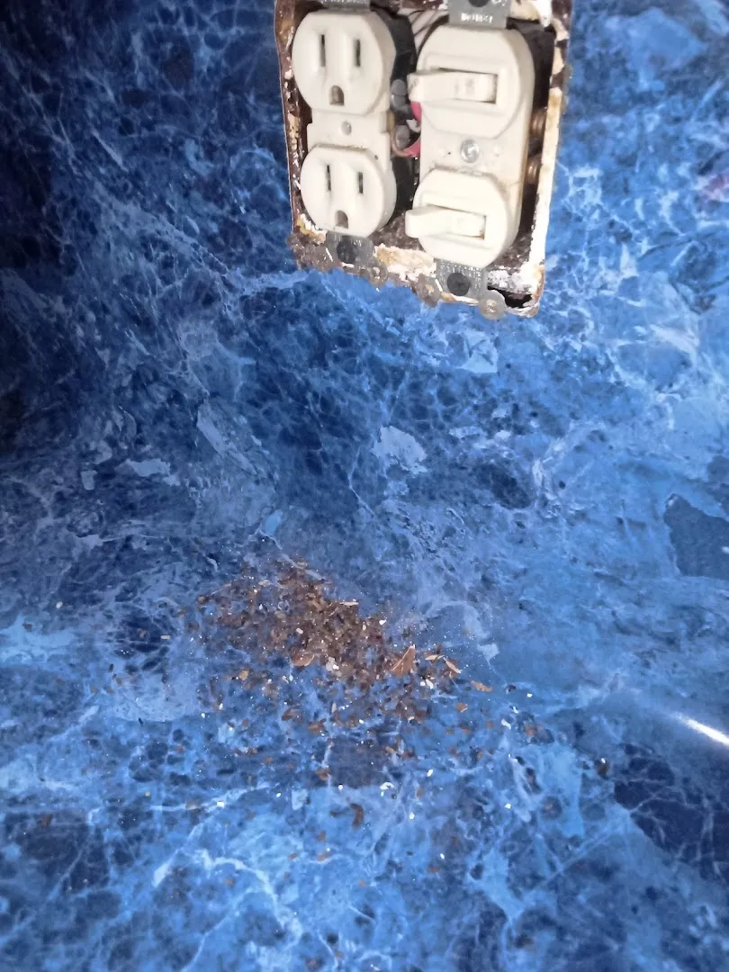 Nemesis Pest Control in Edinburg, TX — business photo 3