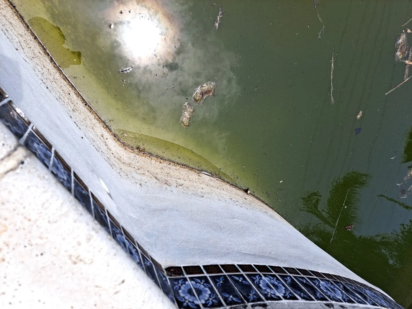 Nichols pest control in Conroe, TX — business photo 3