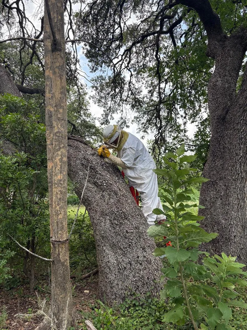 Oak Hills Pest Control Inc in Boerne, TX — business photo 3