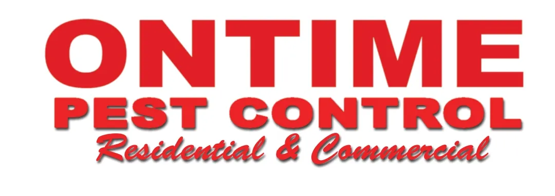 Ontime Termite & Pest Control in Laredo, TX — business photo 3
