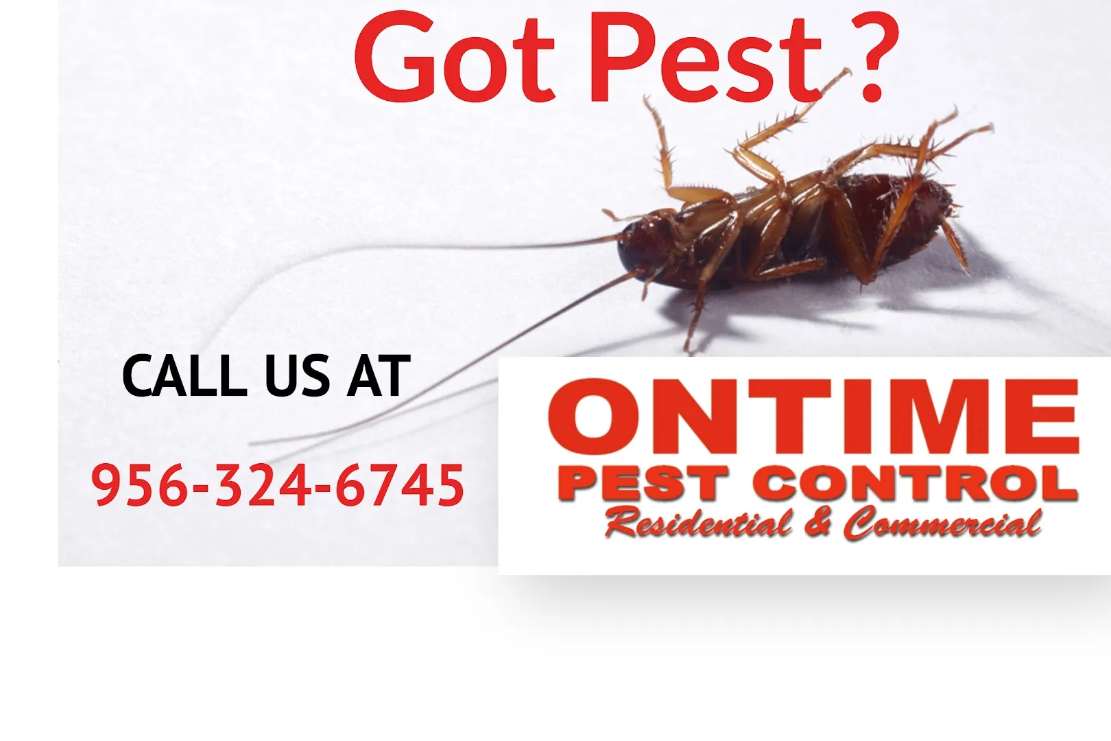 Ontime Termite & Pest Control in Laredo, TX — business photo 5