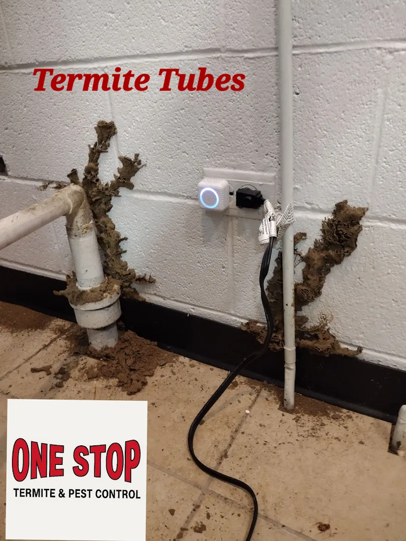 One Stop Termite and Pest Control in Fort Worth, TX — business photo 3