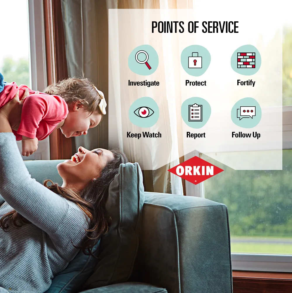 Orkin in Angleton, TX — business photo 6