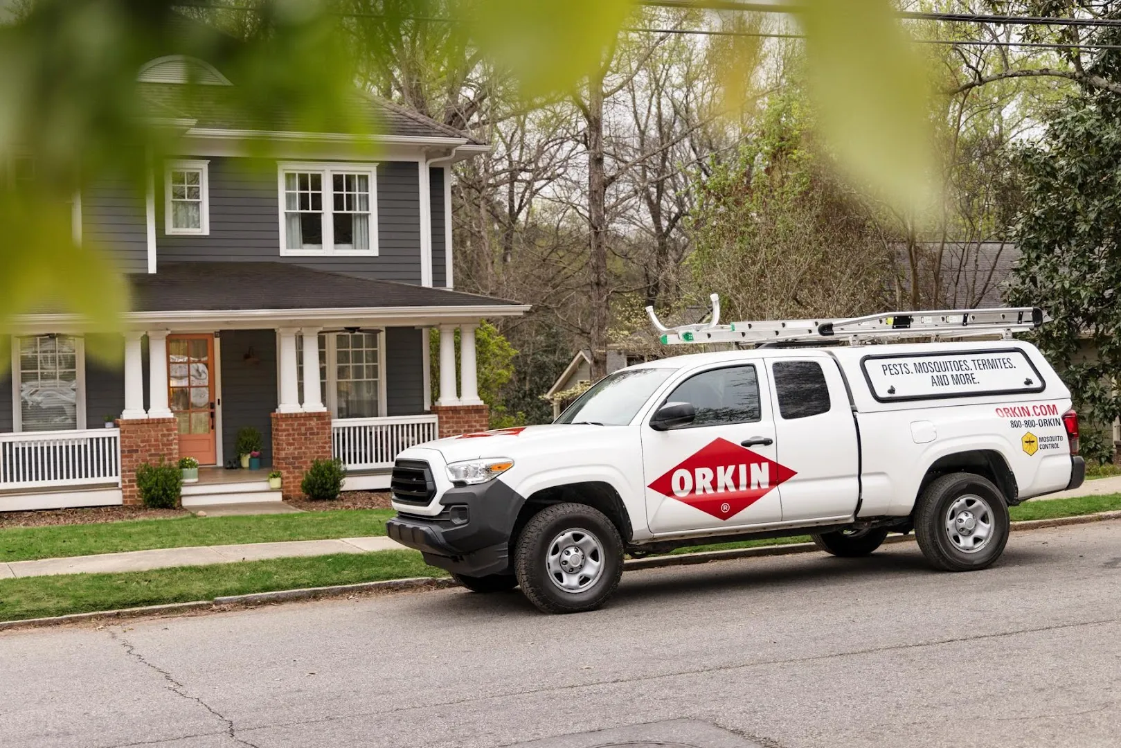 Orkin in Dallas, TX — business photo 4